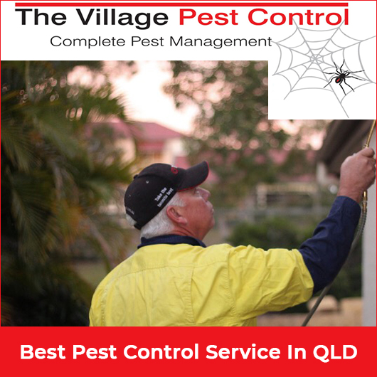 The Village Pest Control - Promotion