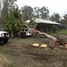 Active Tree Fellas - Pic 8