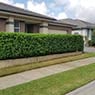 Mats Lawn And Garden Maintenance - Pic 1