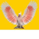 24 BEST local Vets in Ashcroft, NSW Yellow Pages®