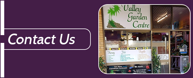 Valley Garden Centre - Promotion 1