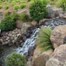 DP Landscaping & Design - Pic 2