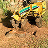 Walton's Tree Care Services - Pic 6