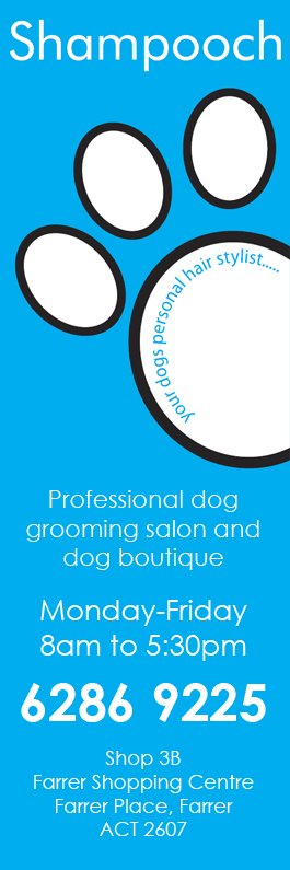 Shampooch - Promotion