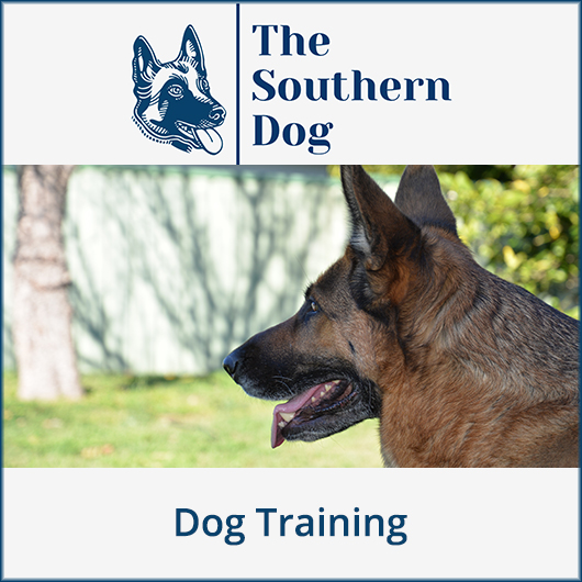 The Southern Dog - Promotion