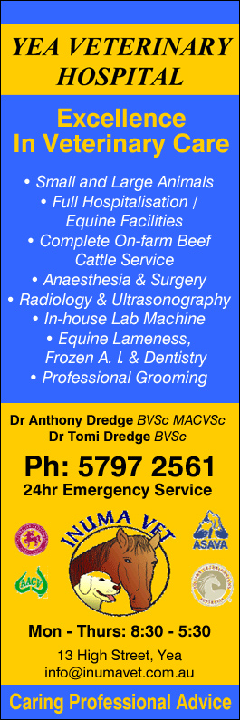 Yea Veterinary Hospital - Promotion