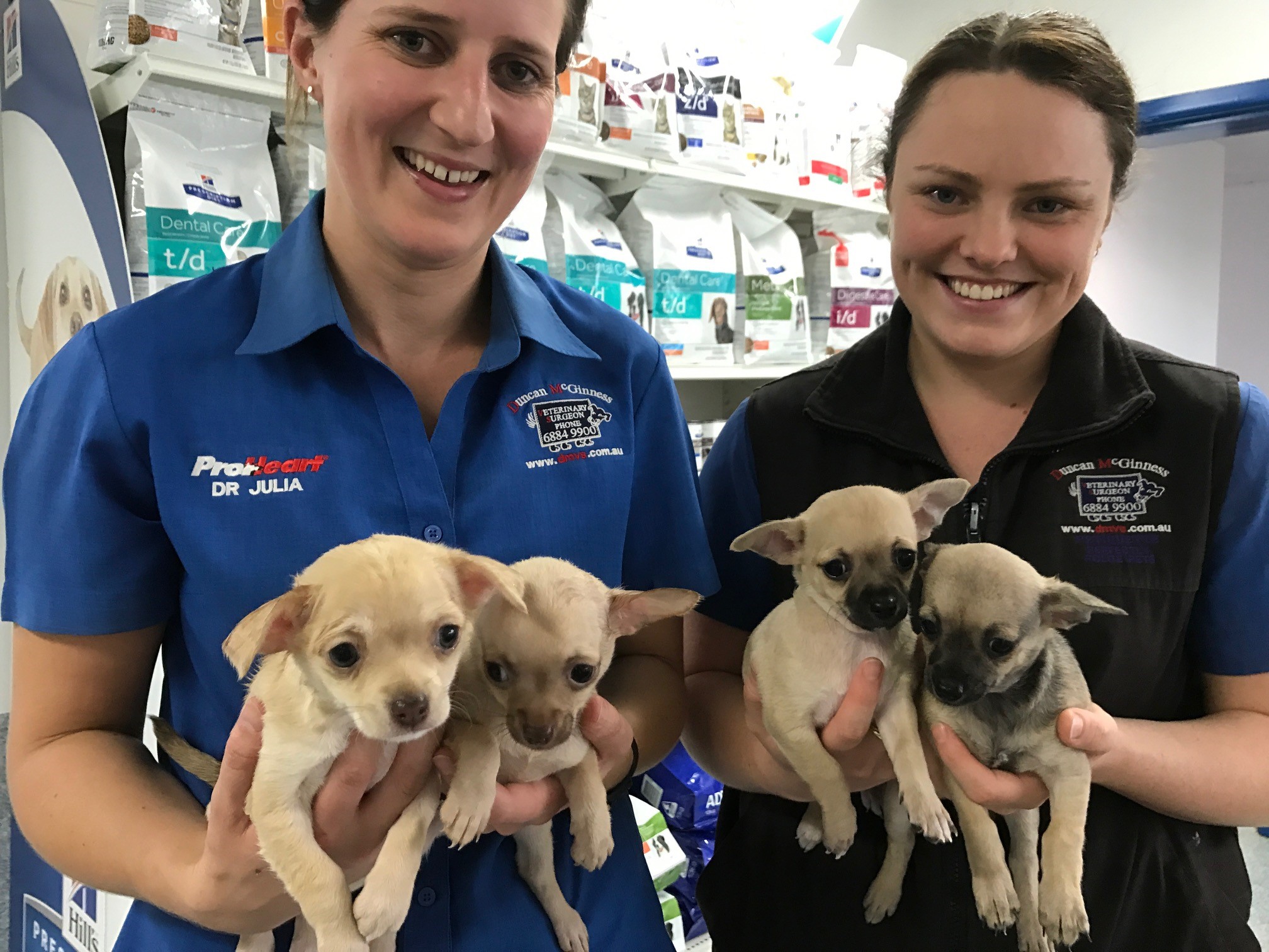 Pinecrest Boarding Kennels & Cattery Cattery 28r Minore Rd, Dubbo NSW