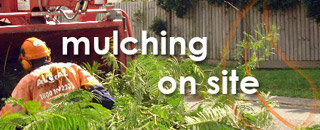 A-Local Tree Services - Promotion 3