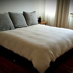 1 King Bed