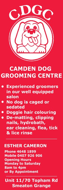 Camden Dog Grooming Centre - Promotion