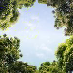 Stephenson Environmental Management Australia - Pic 1