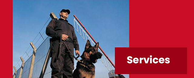 Security OPS - Promotion 2