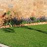 Lakeside Turf - Pic 1