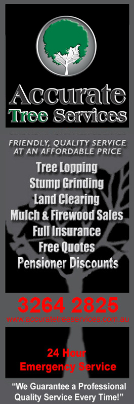 A Accurate Tree Services - Promotion