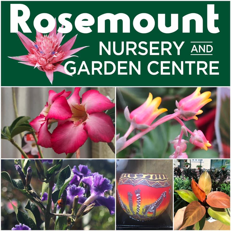 Rosemount Nursery Garden Nurseries 418 Petrie Creek Rd, Rosemount QLD