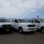 Shore Pest Services - Pic 8
