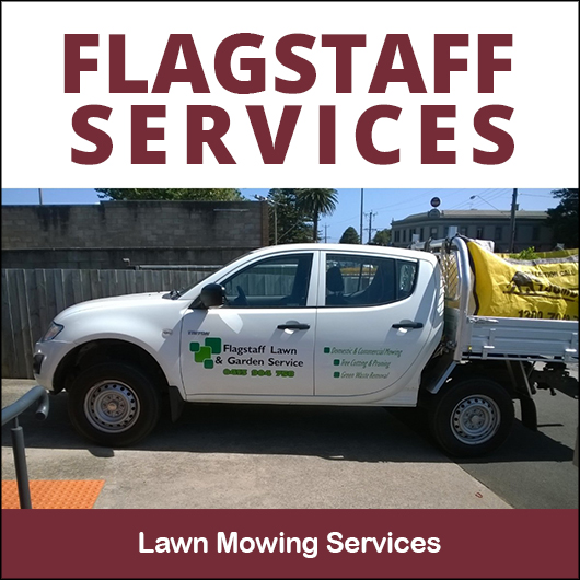 Flagstaff Services - Promotion