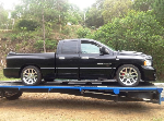 Rowdy's Car Carriers - Pic 2