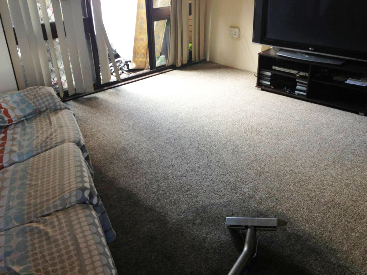 Z Best Carpet Care Carpet Cleaning & Protection Wagga Wagga Yellow
