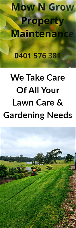 Mow N Grow Property Maintenance - Promotion