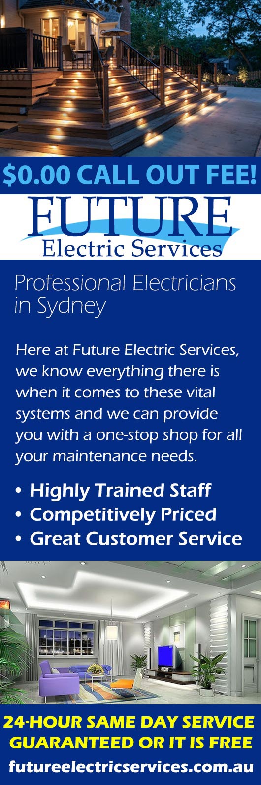 Future Electric Services - Promotion