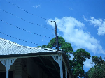 Power Pole Installations - Pic 7
