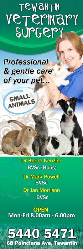 Tewantin Veterinary Surgery - Promotion