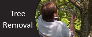 M. & C. Excavations Land Clearing And Tree Services - Promotion 1