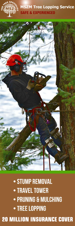 MSZ Tree Lopping Service - Promotion