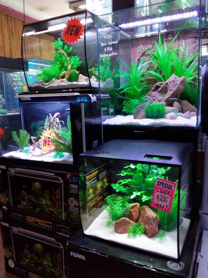 Aquarium World Manly - Aquariums & Aquarium Supplies - 3