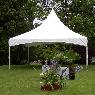 Craft Rental Hire - Pic 4