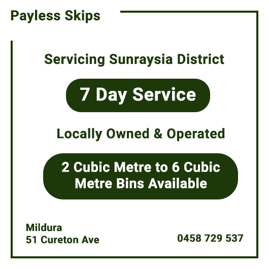 Payless Skips - Promotion