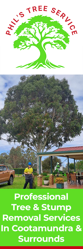 Phil's Tree Service - Promotion