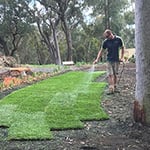Budget Lawns Plus - Pic 5