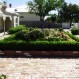 Paving & Landscaping 