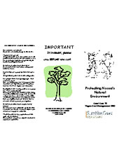 Tree Removal Information