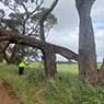 Hilltops Vegetation Services - Pic 4