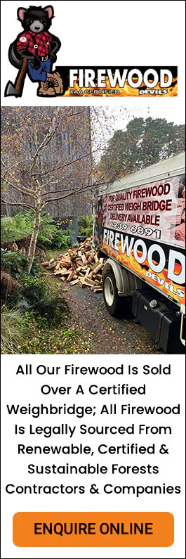 Firewood Devils - Promotion