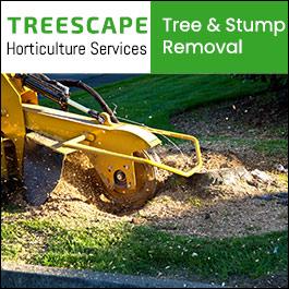 TREESCAPE Horticulture Services - Promotion
