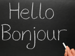 French & Spanish Tuition