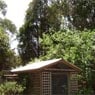 Treetops Boarding Cattery - Pic 1