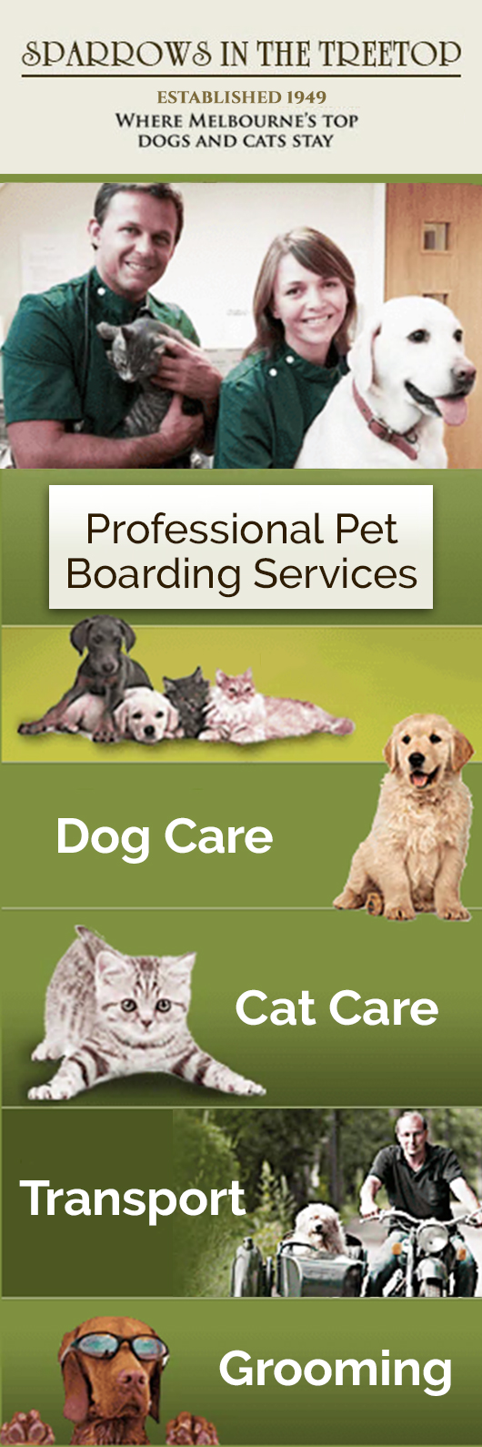 treetops dog boarding