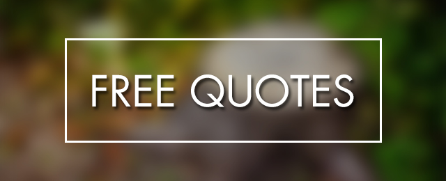 Accurate Tree Service - Promotion 1