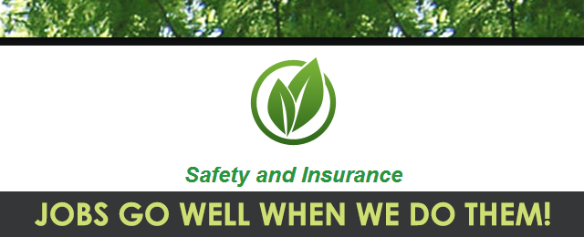 Brisbane Tree Experts - Promotion 3