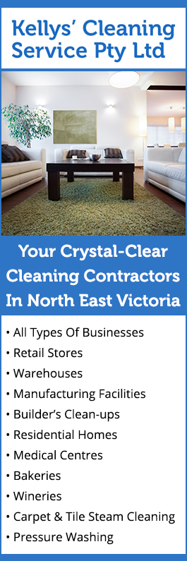 Kelly's Cleaning Service - Promotion