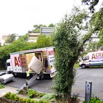 Acrobat Removals - Pic 3