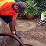 Wet Waste - Pic 6