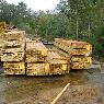 Dindi Sawmills Pty Ltd - Pic 1