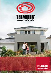 Termidor
