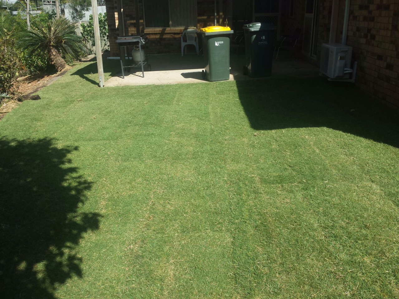 Bay Turf Turf & Lawn Suppliers Bunya Creek Yellow Pages®